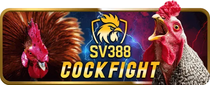 i9bet khuyến mãi đặc biệt cho thể thao
